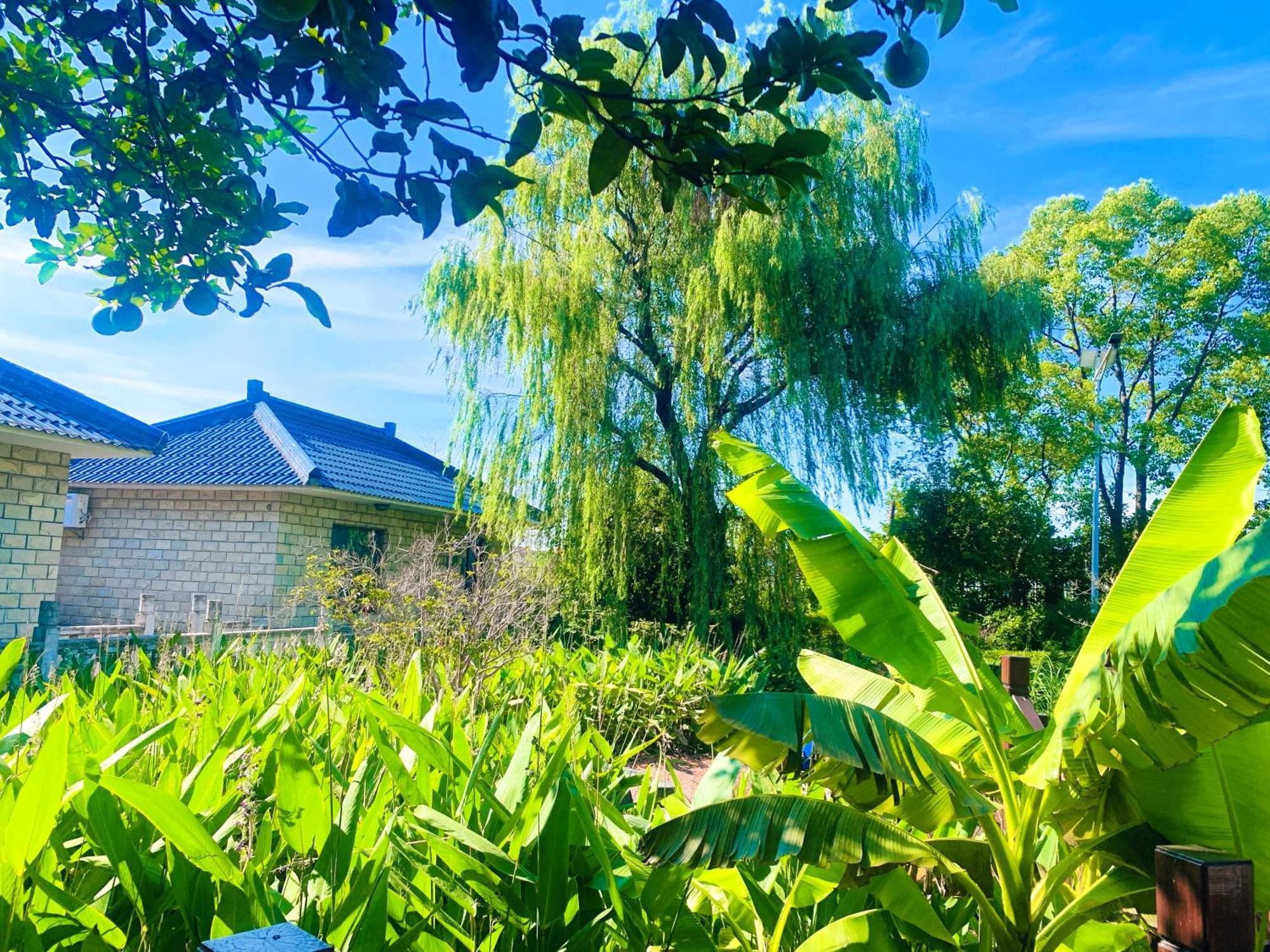 Shushe Hotel Шанхай Екстериор снимка